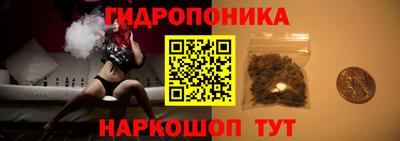 МДПВ Славгород