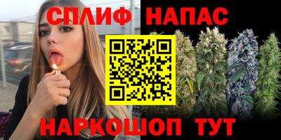 МДПВ Славгород