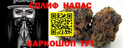 МДПВ Славгород