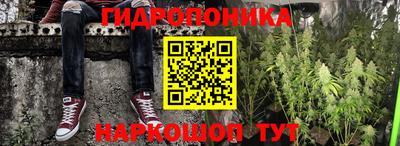 МДПВ Славгород