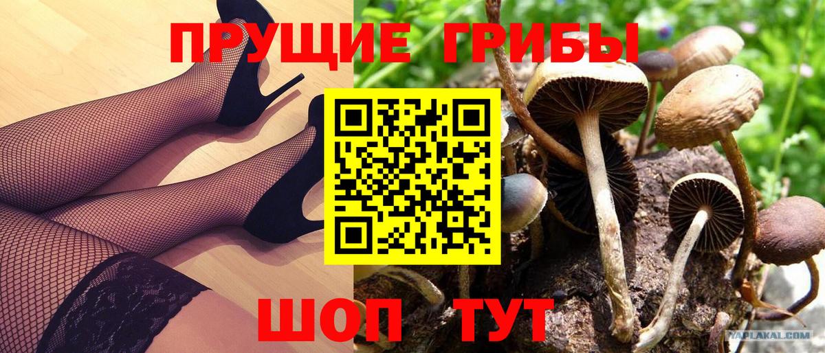 Галлюциногенные грибы прущие грибы  Псилоцибиновые грибы мицелий  Жуковский  Вход с VPN 