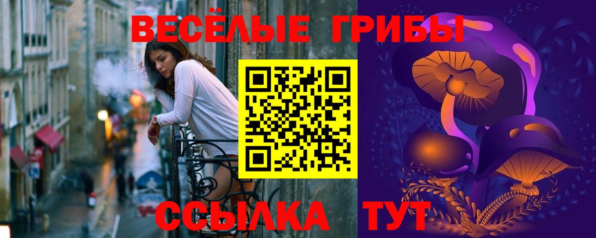 Псилоцибиновые грибы Cubensis Жуковский